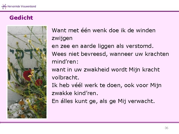 Gedicht Want met één wenk doe ik de winden zwijgen en zee en aarde