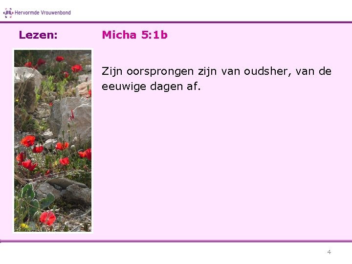 Lezen: Micha 5: 1 b Zijn oorsprongen zijn van oudsher, van de eeuwige dagen