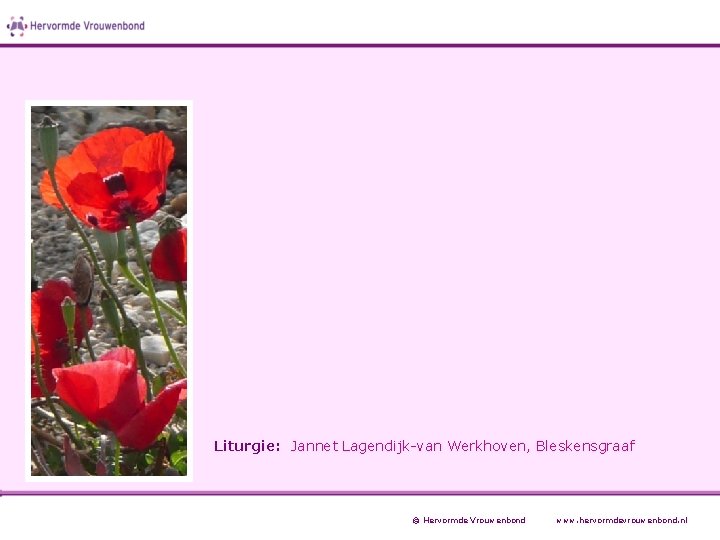 Liturgie: Jannet Lagendijk-van Werkhoven, Bleskensgraaf © Hervormde Vrouwenbond www. hervormdevrouwenbond. nl 
