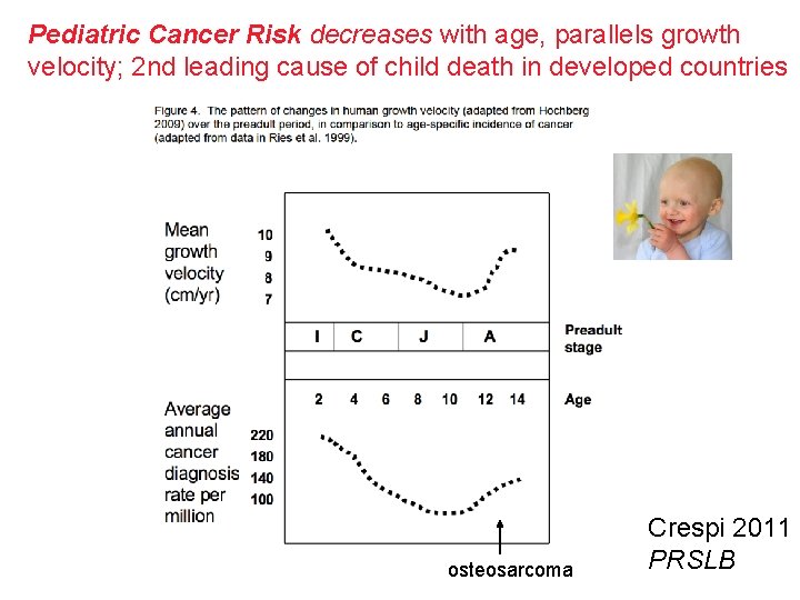 Pediatric Cancer Risk decreases with age, parallels growth velocity; 2 nd leading cause of