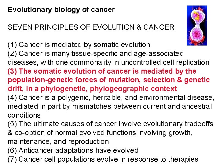 Evolutionary biology of cancer SEVEN PRINCIPLES OF EVOLUTION & CANCER (1) Cancer is mediated