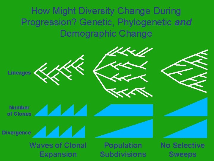 How Might Diversity Change During Progression? Genetic, Phylogenetic and Demographic Change Lineages Number of