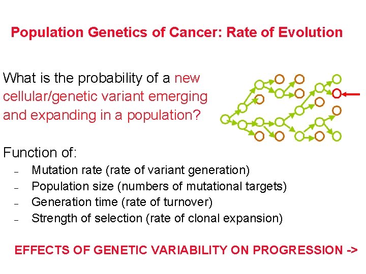 Population Genetics of Cancer: Rate of Evolution What is the probability of a new