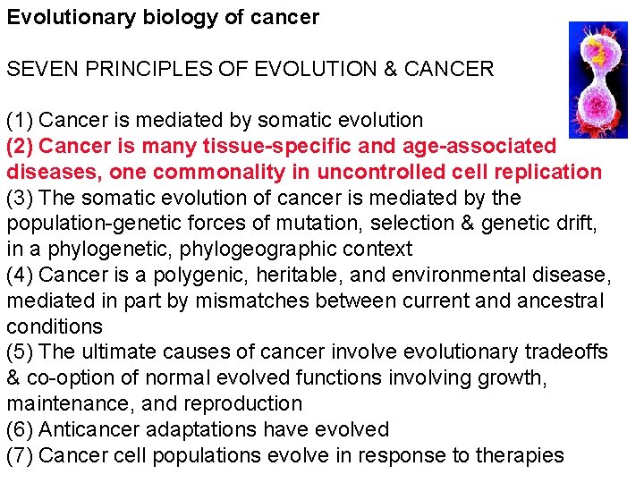 Evolutionary biology of cancer SEVEN PRINCIPLES OF EVOLUTION & CANCER (1) Cancer is mediated