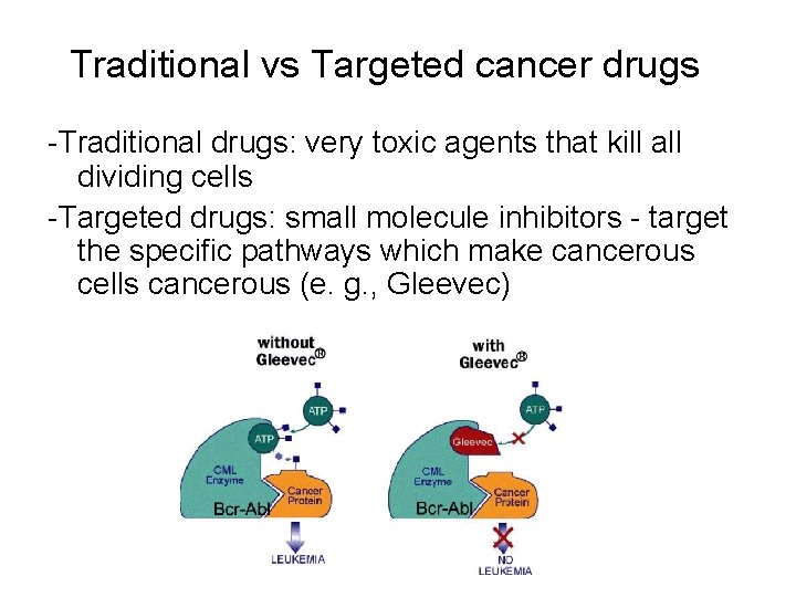 Traditional vs Targeted cancer drugs -Traditional drugs: very toxic agents that kill all dividing