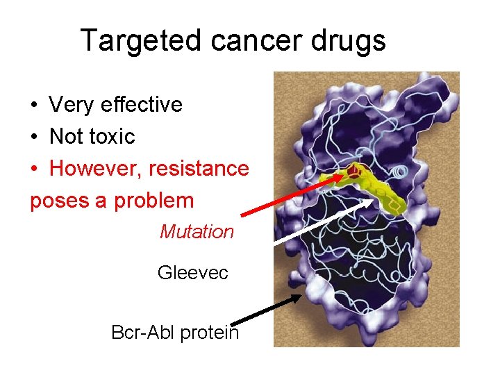 Targeted cancer drugs • Very effective • Not toxic • However, resistance poses a