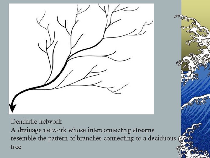 Dendritic network A drainage network whose interconnecting streams resemble the pattern of branches connecting