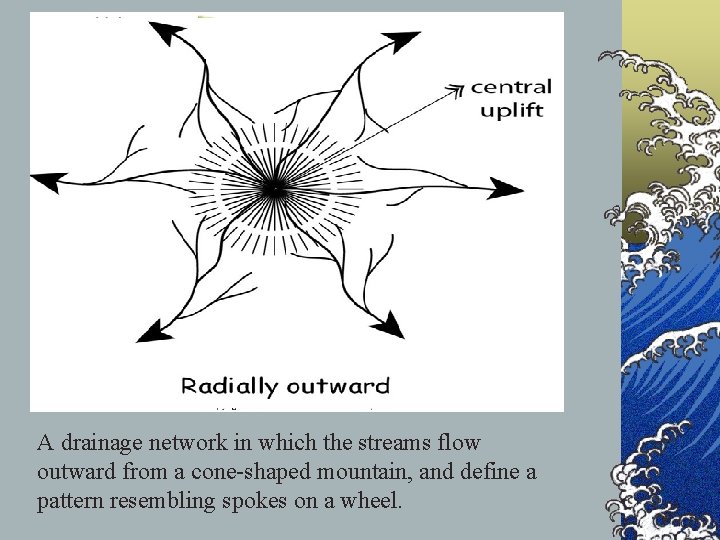 Radial network A drainage network in which the streams flow outward from a cone-shaped