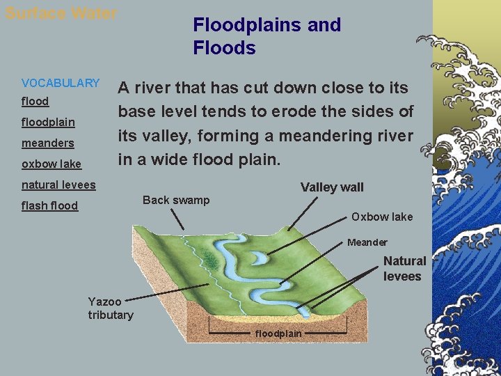 Surface Water VOCABULARY floodplain meanders oxbow lake Floodplains and Floods A river that has
