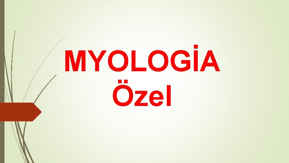 MYOLOGİA Özel 