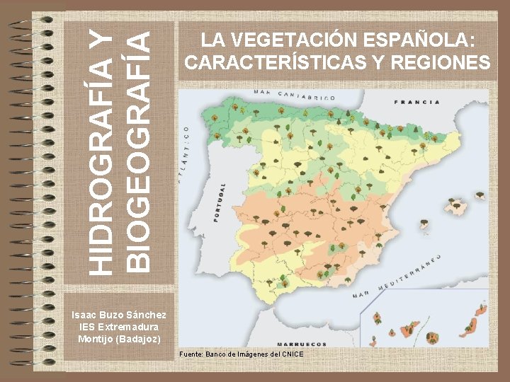 HIDROGRAFÍA Y BIOGEOGRAFÍA LA VEGETACIÓN ESPAÑOLA: CARACTERÍSTICAS Y REGIONES Isaac Buzo Sánchez IES Extremadura