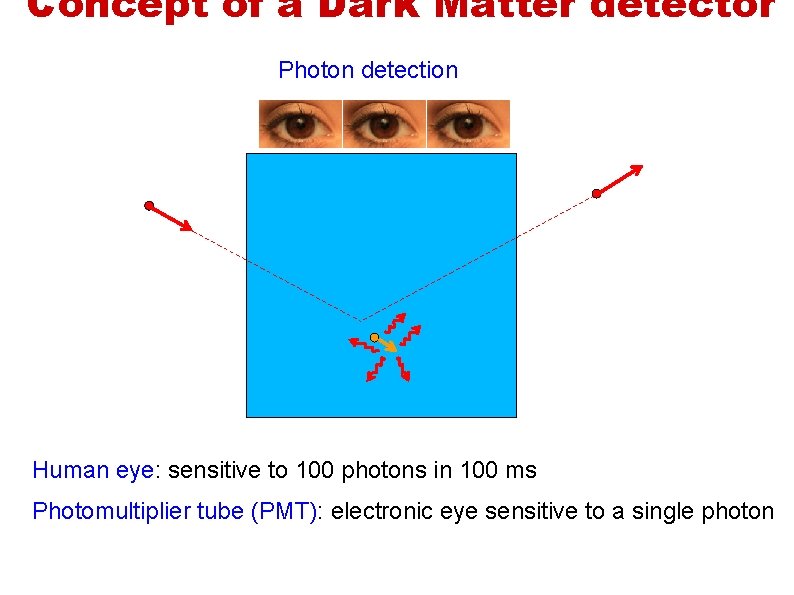 Concept of a Dark Matter detector Photon detection Human eye: sensitive to 100 photons