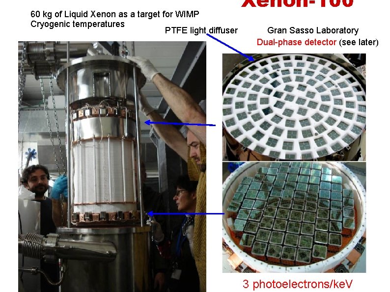 60 kg of Liquid Xenon as a target for WIMP Cryogenic temperatures PTFE light