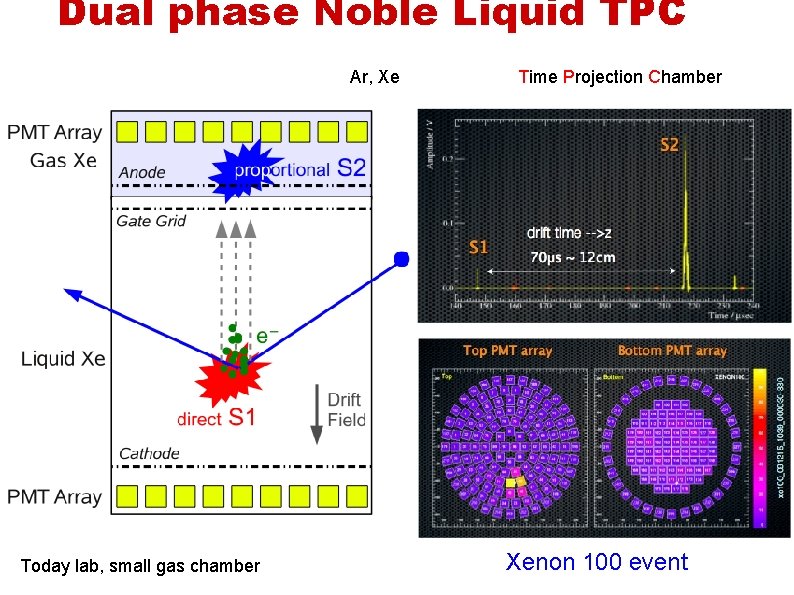 Dual phase Noble Liquid TPC Ar, Xe Today lab, small gas chamber Time Projection