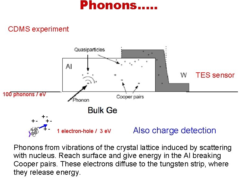 Phonons…. . CDMS experiment TES sensor 100 phonons / e. V ++- ++ -