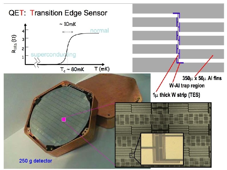 250 g detector 