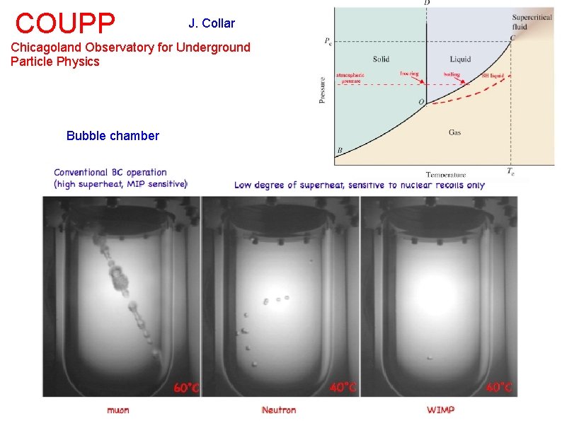 COUPP J. Collar Chicagoland Observatory for Underground Particle Physics Bubble chamber 