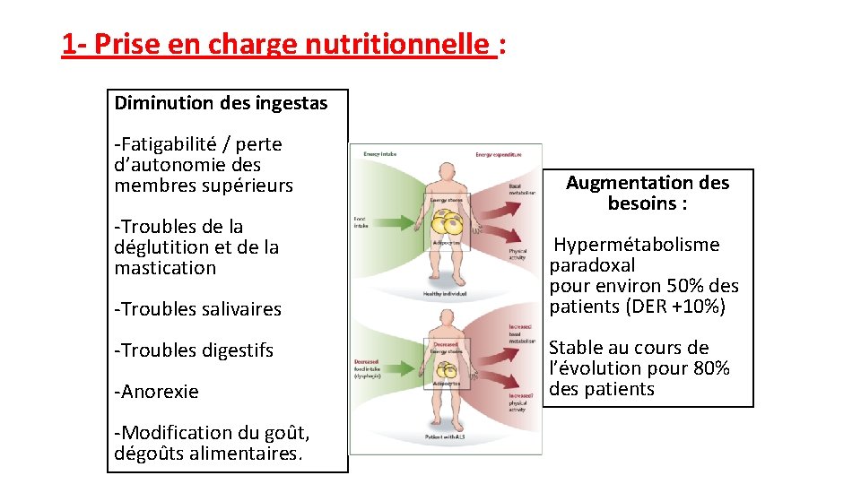 1 - Prise en charge nutritionnelle : Diminution des ingestas -Fatigabilité / perte d’autonomie