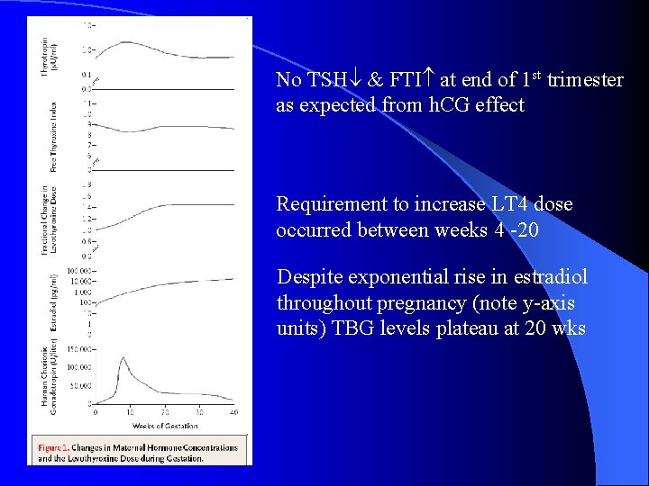 No TSH & FTI at end of 1 st trimester as expected from h. No TSH & FTI at end of 1 st trimester as expected from h.