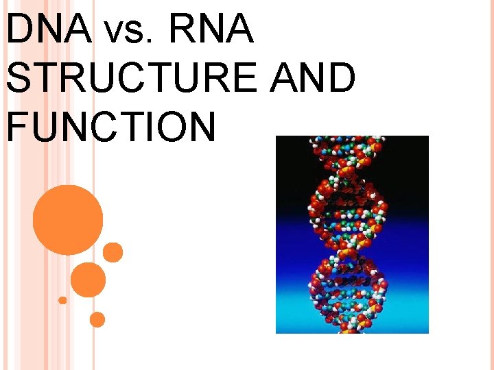 DNA vs. RNA STRUCTURE AND FUNCTION 