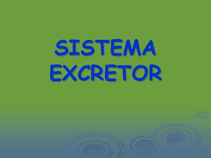 SISTEMA EXCRETOR 