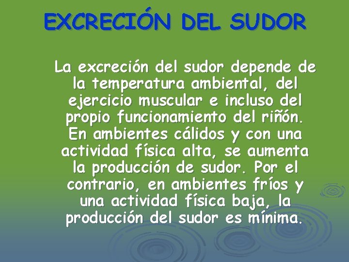 EXCRECIÓN DEL SUDOR La excreción del sudor depende de la temperatura ambiental, del ejercicio