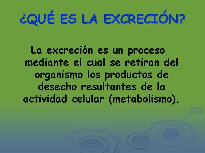 ¿QUÉ ES LA EXCRECIÓN? La excreción es un proceso mediante el cual se retiran