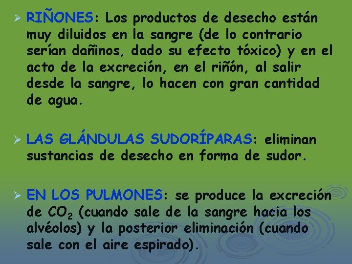 Ø RIÑONES: Los productos de desecho están muy diluidos en la sangre (de lo