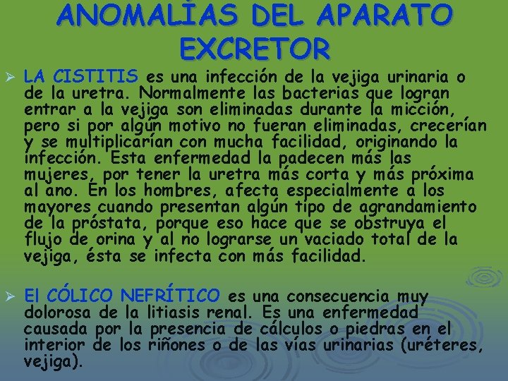 ANOMALÍAS DEL APARATO EXCRETOR Ø LA CISTITIS es una infección de la vejiga urinaria