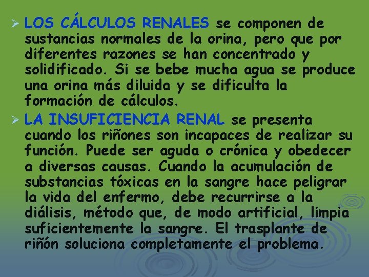 LOS CÁLCULOS RENALES se componen de sustancias normales de la orina, pero que por