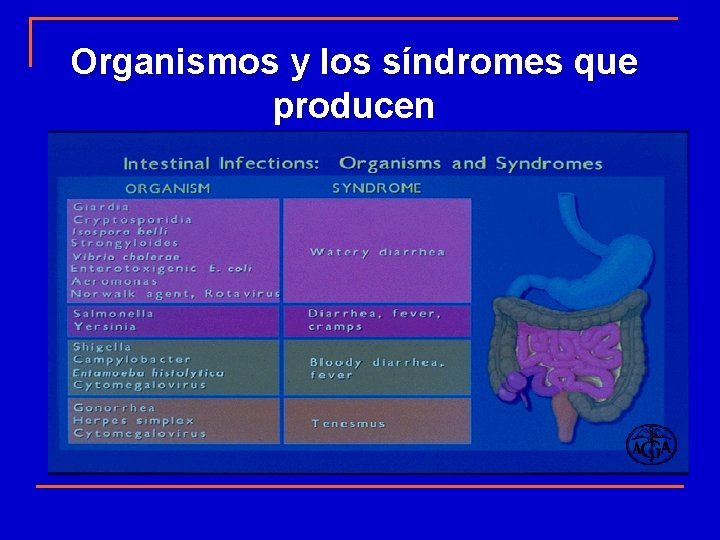 Organismos y los síndromes que producen 