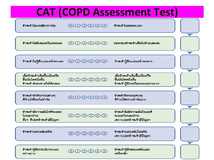 CAT (COPD Assessment Test) 