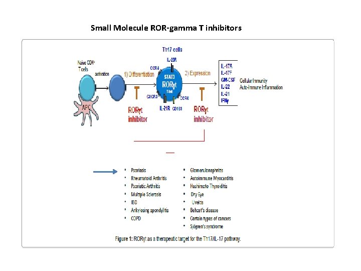 Small Molecule ROR-gamma T inhibitors 
