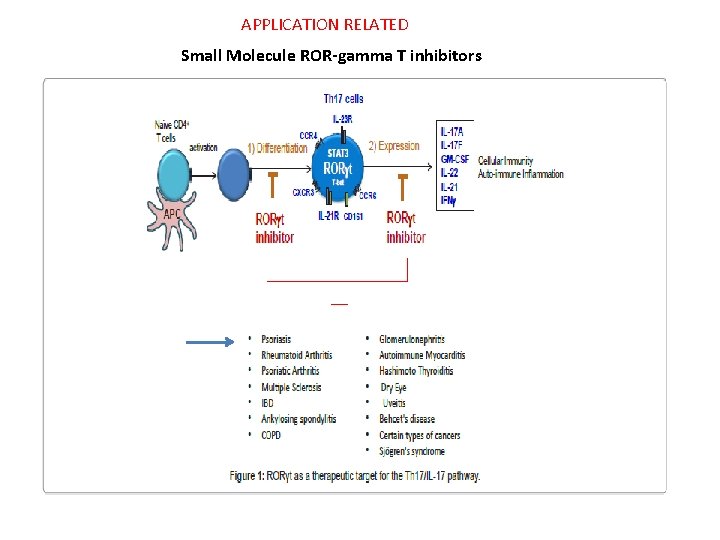 APPLICATION RELATED Small Molecule ROR-gamma T inhibitors 