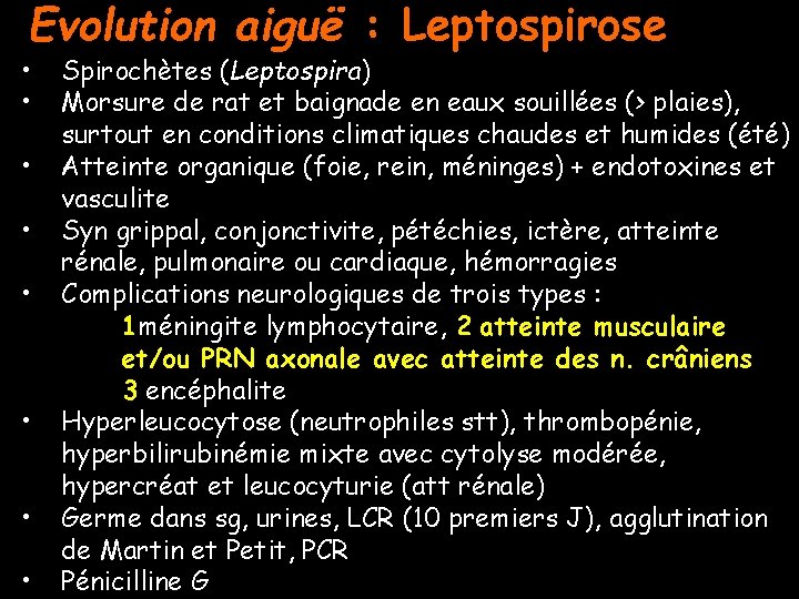 Evolution aiguë : Leptospirose • • Spirochètes (Leptospira) Morsure de rat et baignade en