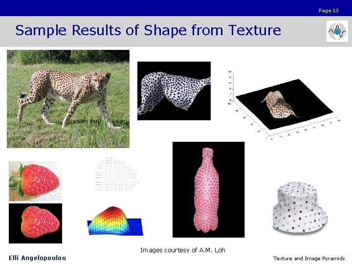 Page 13 Sample Results of Shape from Texture Images courtesy of A. M. Loh