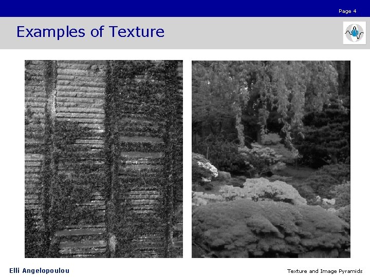 Page 4 Examples of Texture Elli Angelopoulou Texture and Image Pyramids 