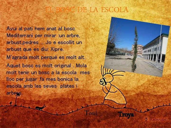 EL BOSC DE LA ESCOLA Avui al pati hem anat al bosc Mediterrani per