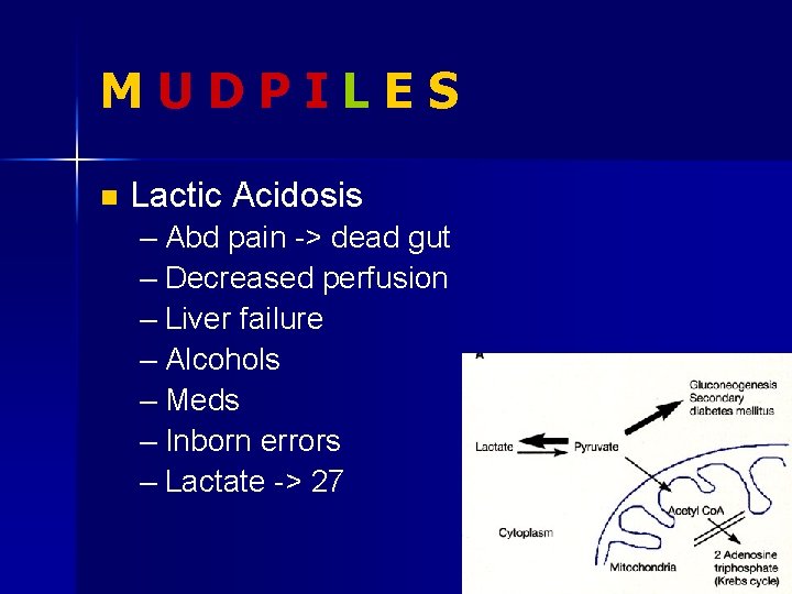 MUDPILES n Lactic Acidosis – Abd pain -> dead gut – Decreased perfusion –