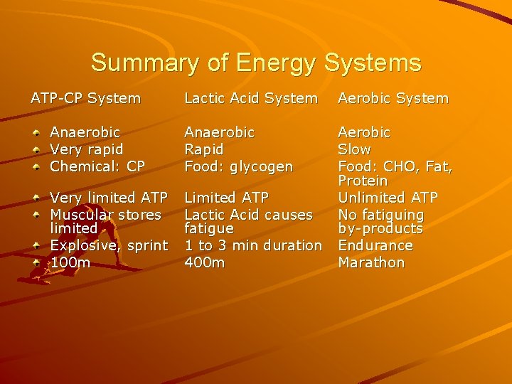 Summary of Energy Systems ATP-CP System Lactic Acid System Aerobic System Anaerobic Very rapid