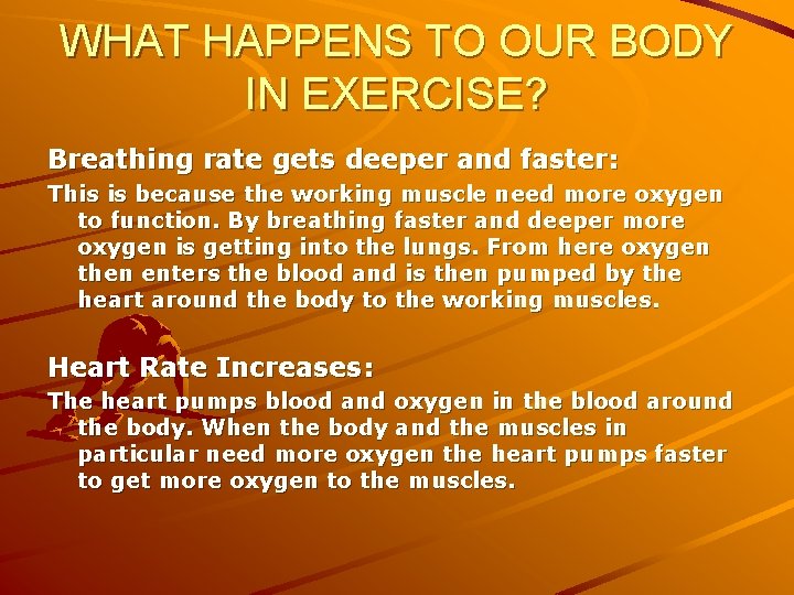 WHAT HAPPENS TO OUR BODY IN EXERCISE? Breathing rate gets deeper and faster: This