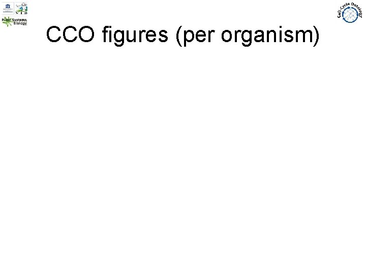 CCO figures (per organism) 