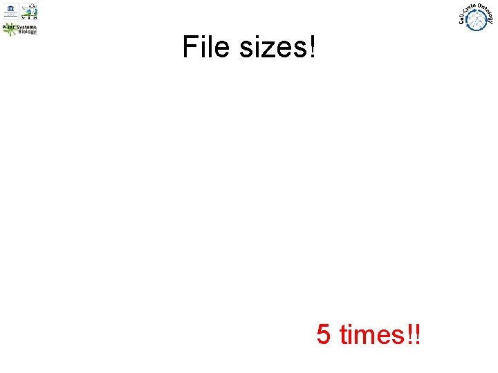 File sizes! 5 times!! 