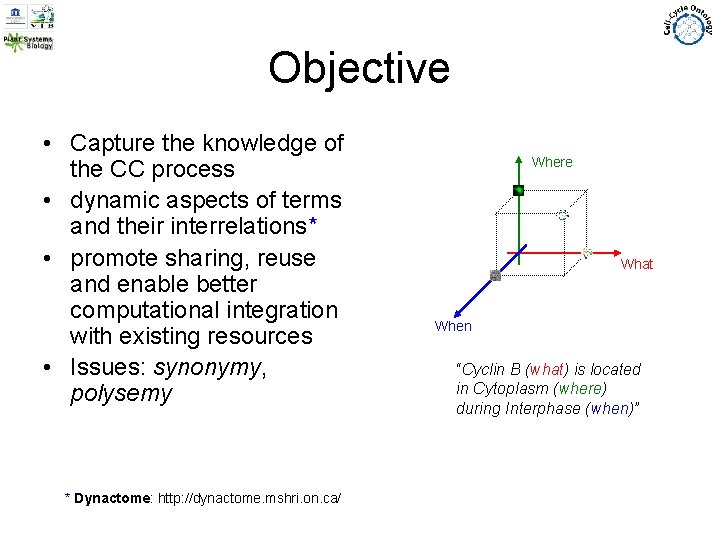 Objective • Capture the knowledge of the CC process • dynamic aspects of terms