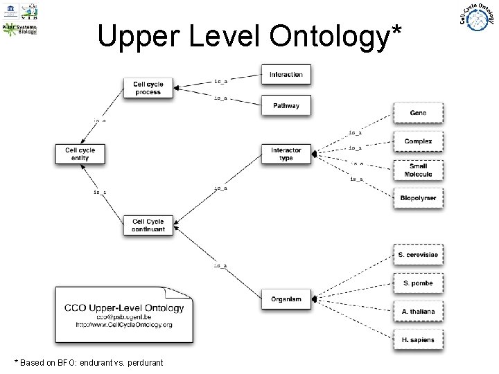 Upper Level Ontology* * Based on BFO: endurant vs. perdurant 