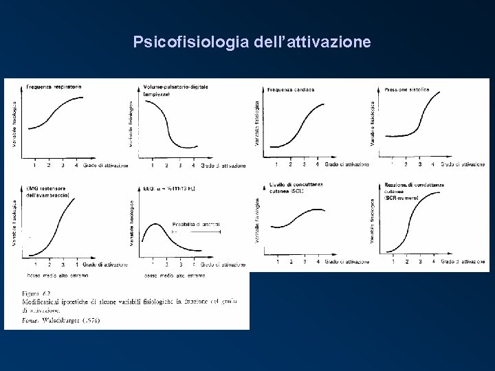 Psicofisiologia dell’attivazione 