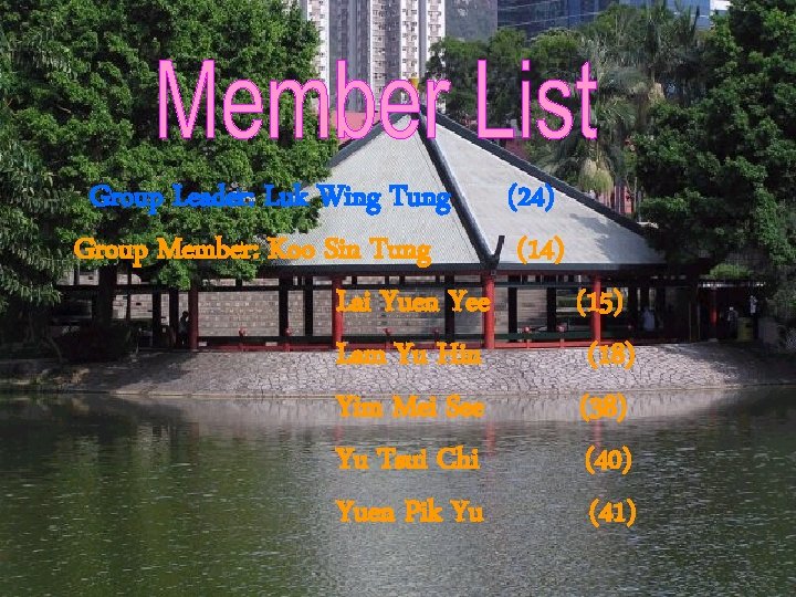 Group Leader: Luk Wing Tung (24) Group Member: Koo Sin Tung (14) Lai Yuen