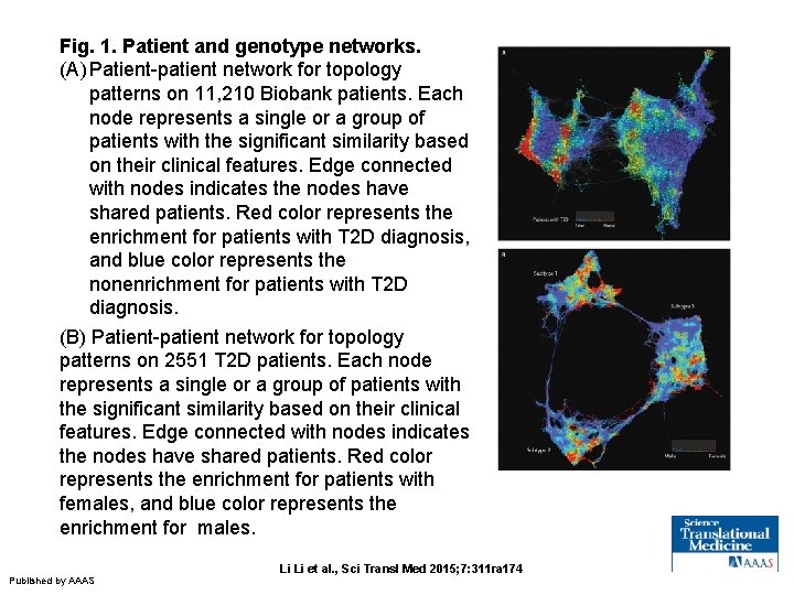 Fig. 1. Patient and genotype networks. (A) Patient-patient network for topology patterns on 11,