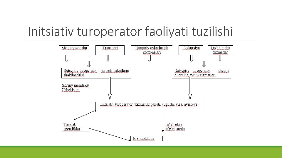 Initsiativ turoperator faoliyati tuzilishi 