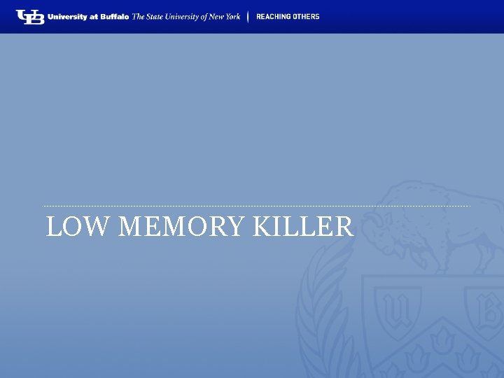 LOW MEMORY KILLER 